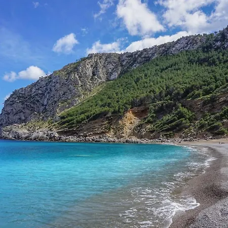 - 3516-47 Mallorca * Pollenca